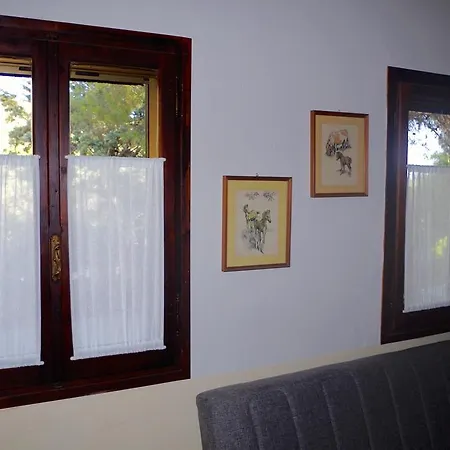 Bonu Apartment *