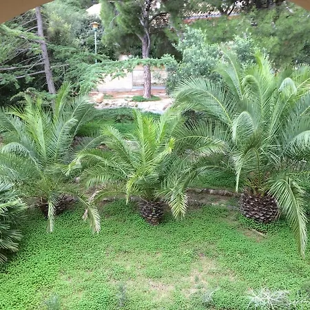 Bonu Apartment
